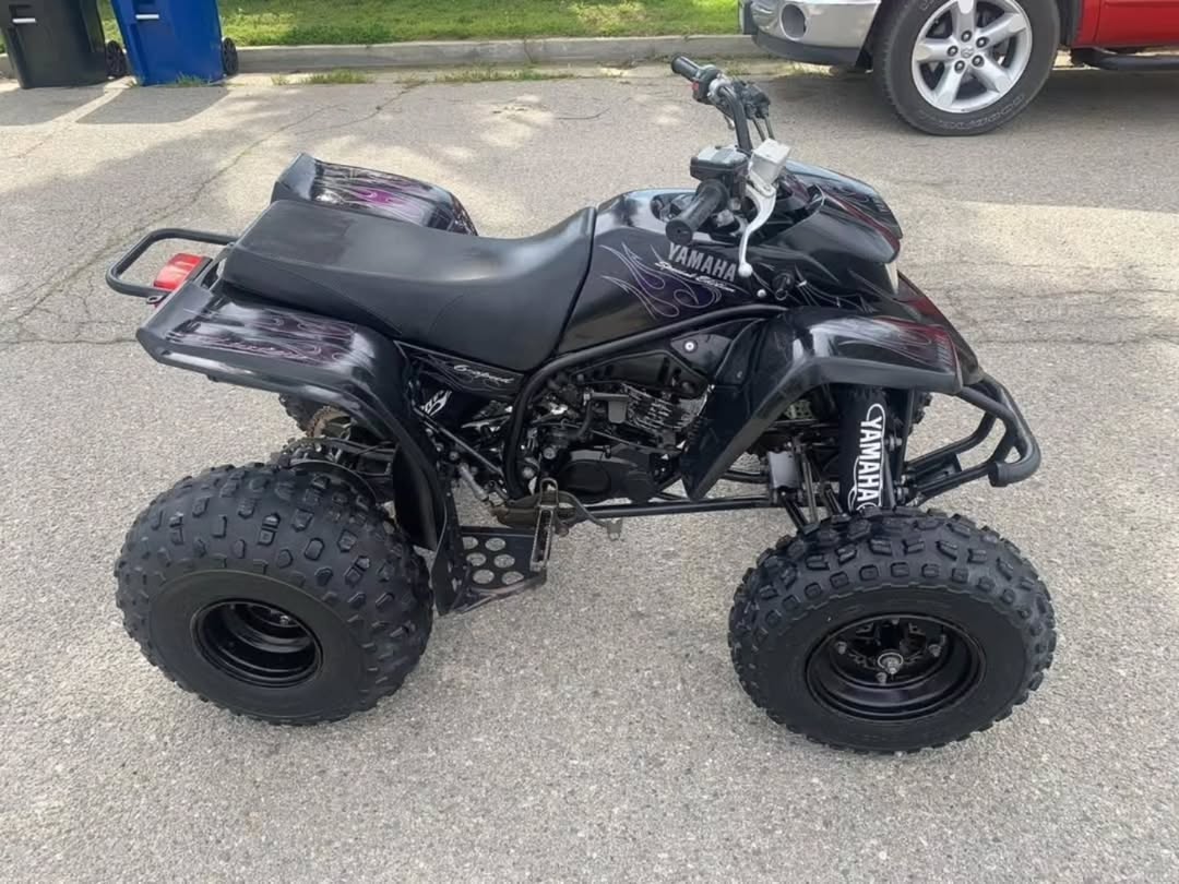 2006 YAMAHA BLASTER - Image 2