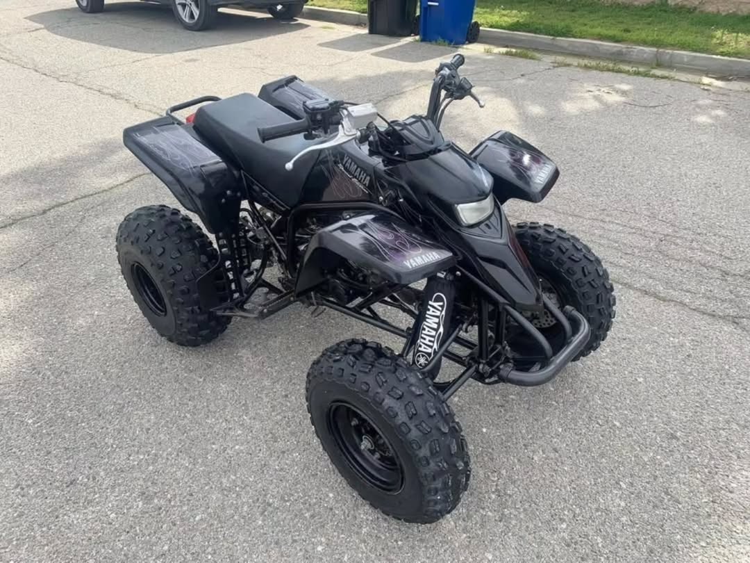 2006 YAMAHA BLASTER - Image 3