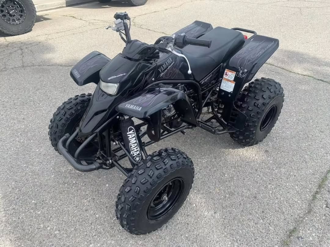 2006 YAMAHA BLASTER - Image 5