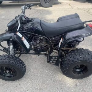 2006 YAMAHA BLASTER