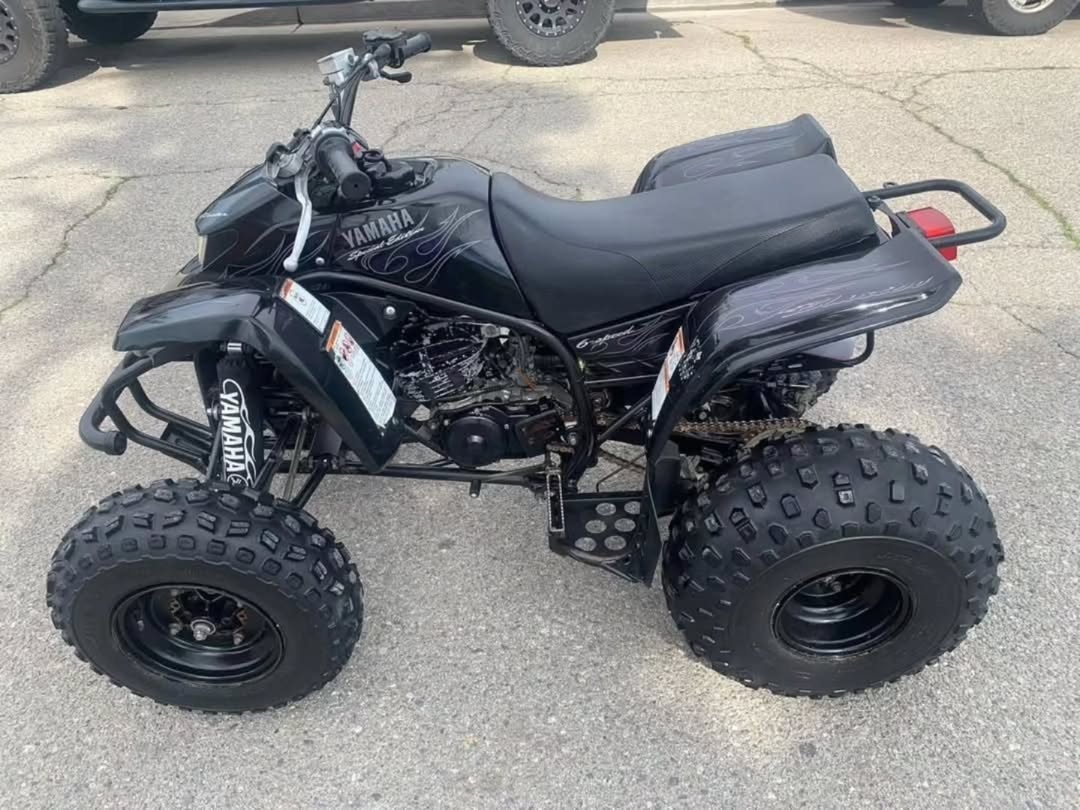 2006 YAMAHA BLASTER